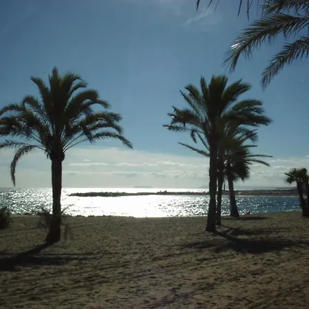 Lejlighed Banus Elegant Modern